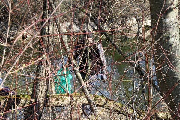 Seeuferreinigung_2019-03-30_037-IMG_1697.jpg